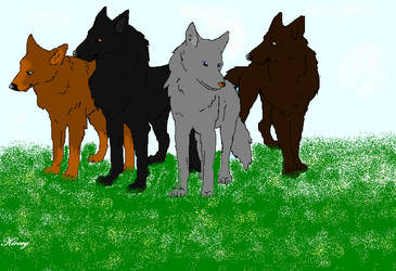 The Wolf Pack