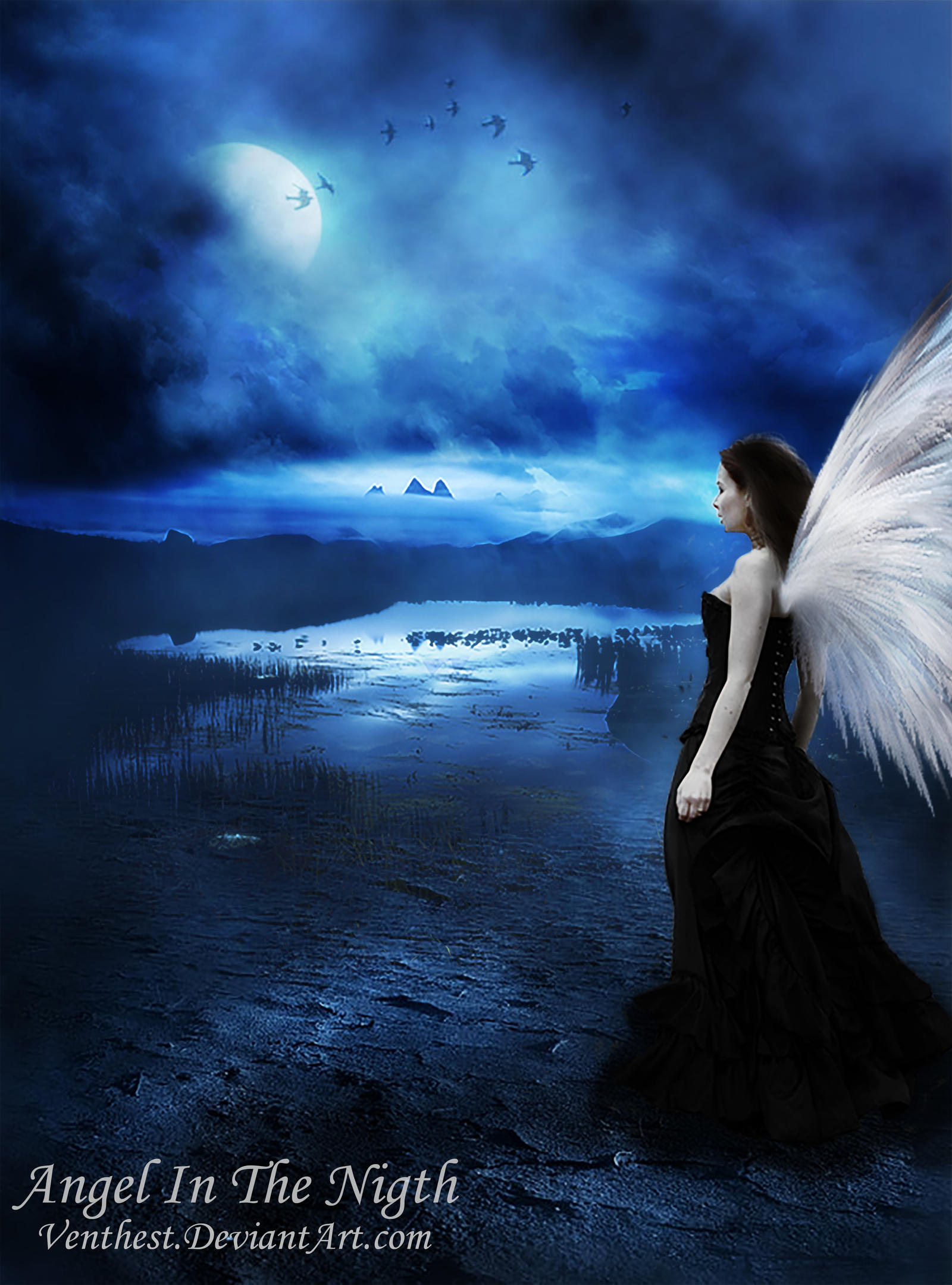 Angel In The Nigth