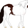 OPEN_Abaga Horse Adoptable