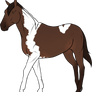 OPEN_Warmblood Horse Adoptable