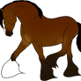 OPEN_Horse Adoptable