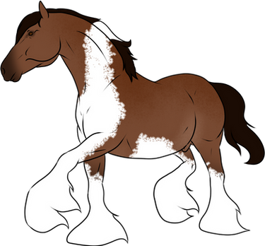 OPEN_Horse Adoptable