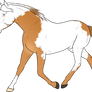 OPEN_Horse Adoptable