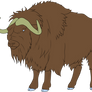 Muskox