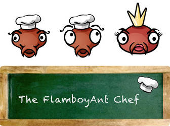 The FlamboyAnt Chef 01