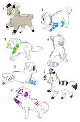 dog adoptables