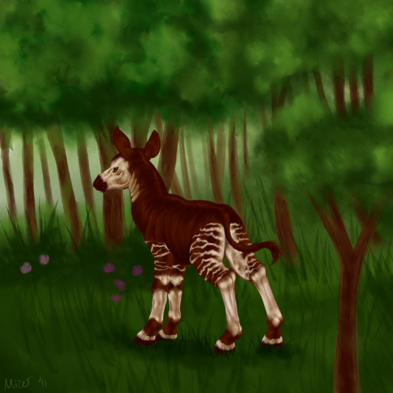 Lone Okapi