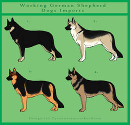 German Shepherd Dog Imports - Closed