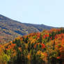 Pinkham Notch Colors