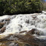 Kinsman Falls Spring