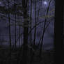 All Hallows Eve