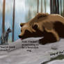 Bearskin Rug