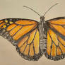 Butterfly DA Tutorial