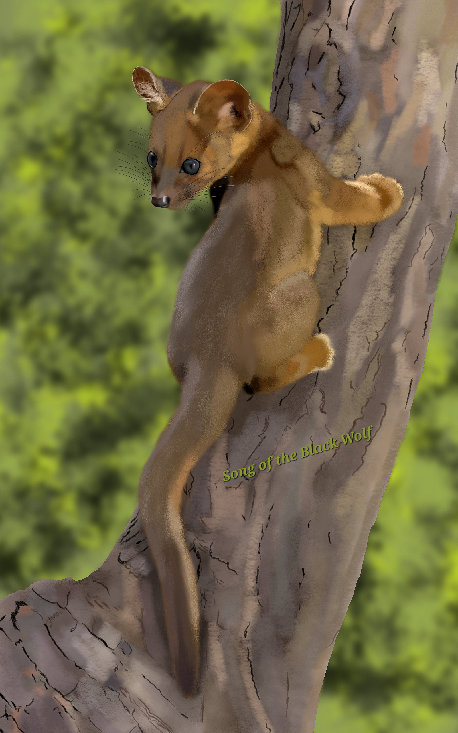 Fossa Pup