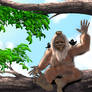 Birdy Bigfoot