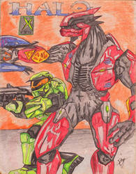 Halo Combat evolved