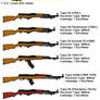 TSD Scale SKS Series (Chinese)