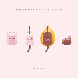 Mashmallow life cycle by Sheharzad-Arshad