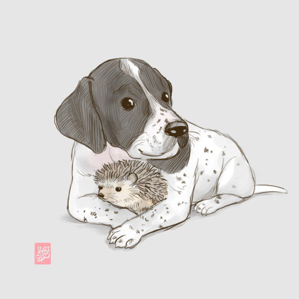 Dog and hedgehog rough sketch by Sheharzad-Arshad