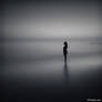 Immersed