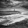The Tower of Hercules