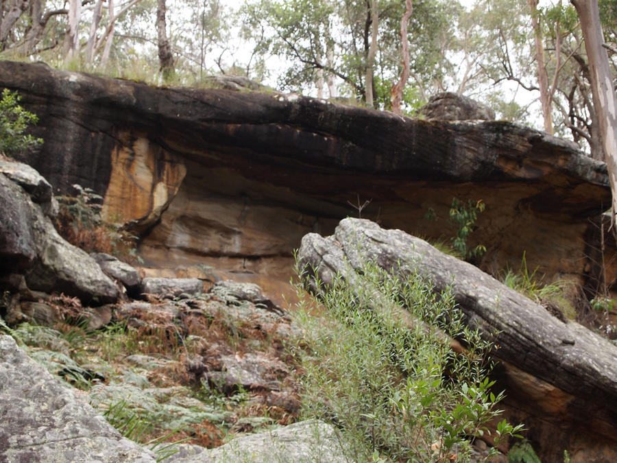 Simmo's Beach Reserve 3 by JolanthusTrel on DeviantArt