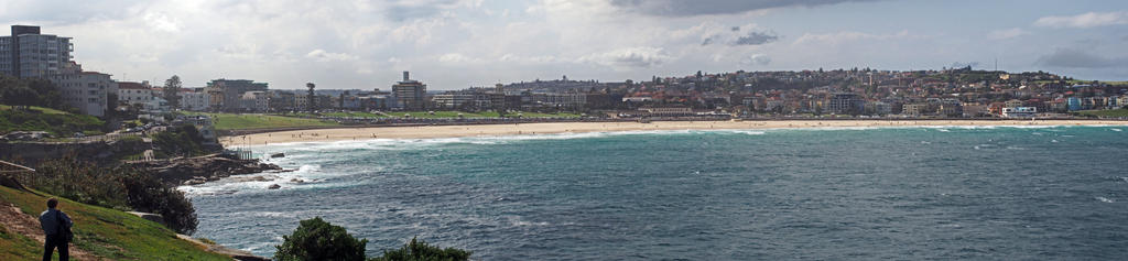 Eastern Beaches Coastal Walk 6