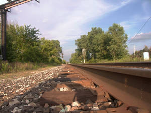 Tracks at Trowbridge