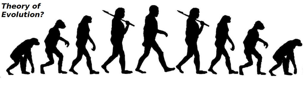 Evolution Chart Deviantart Evolution by 13Vampirella on DeviantArt