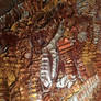 Pennies From Canada