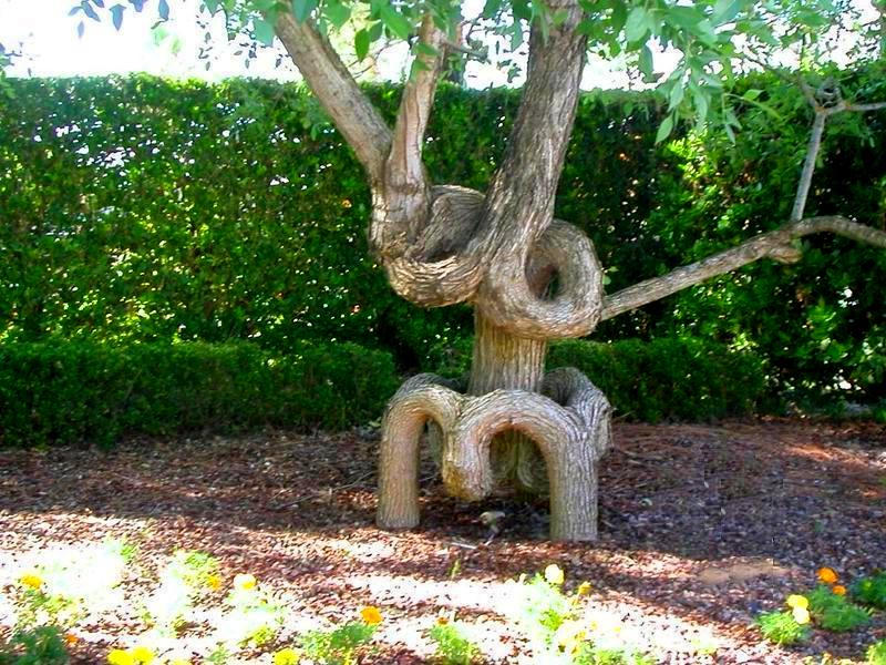 Twisted Tree Ribblehead Twisted Tangled Tree by ZunSuperGirl on DeviantArt