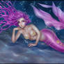 Mermaid from the Violet Sea