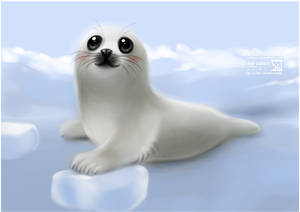 Seal