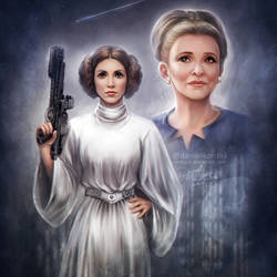 Star Wars: Princess Leia by daekazu
