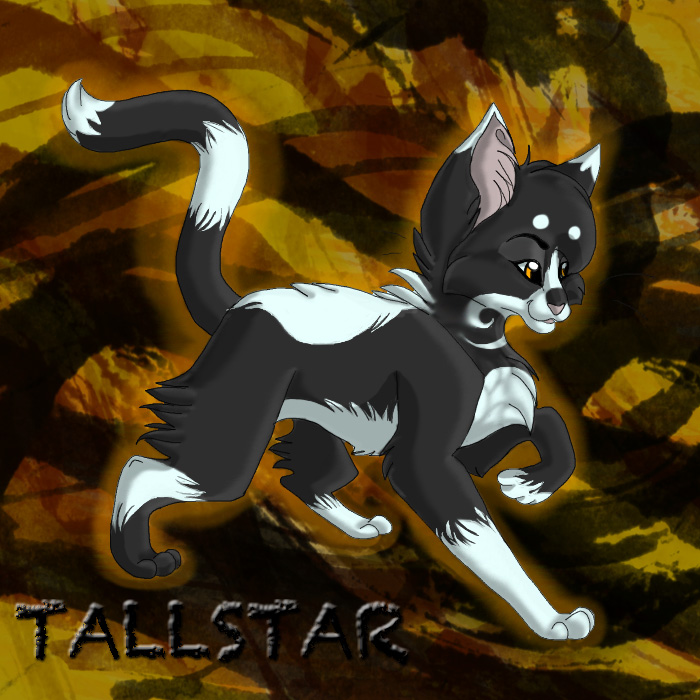 Tallstar