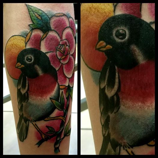 Robin tattoo traditional