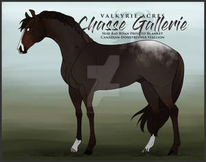 VA's Chasse Gallerie