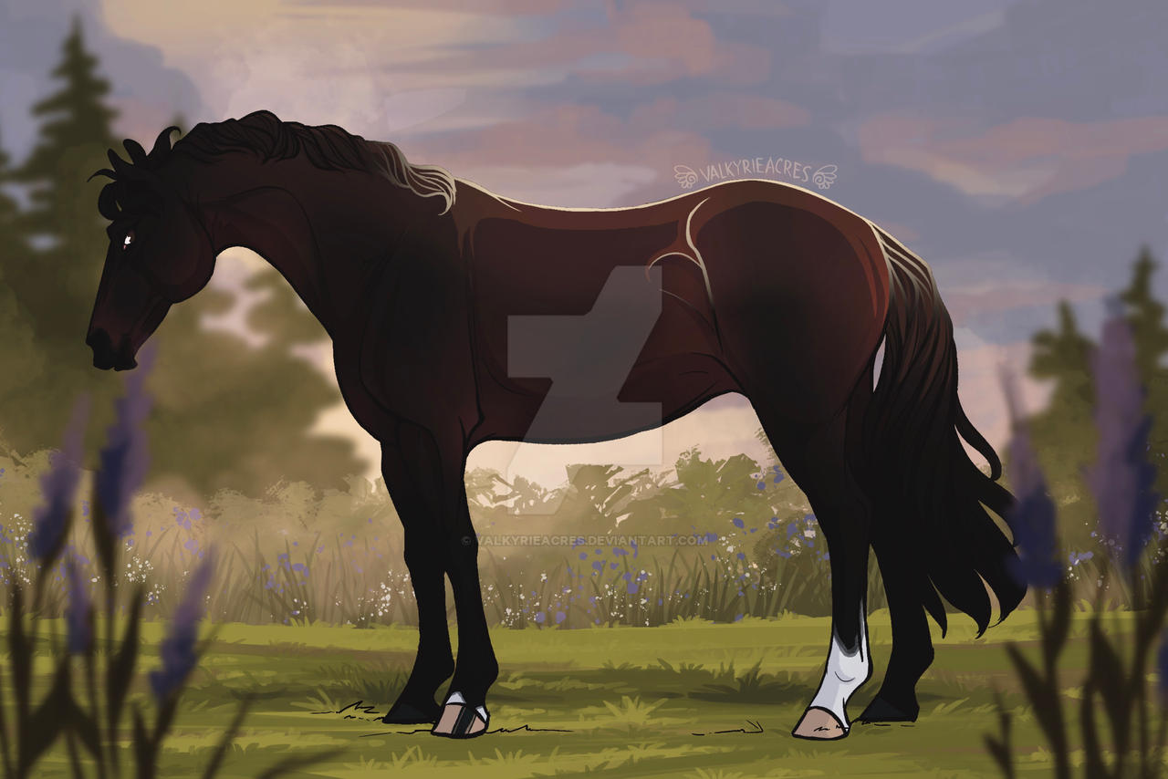 VA's Red Turtle - Reference by ValkyrieAcres on DeviantArt