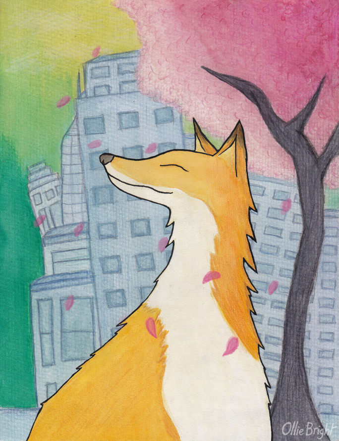 Urban Fox