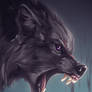 Black Wolf - commission