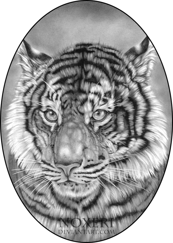 Wild eyes. by Noxeri on DeviantArt