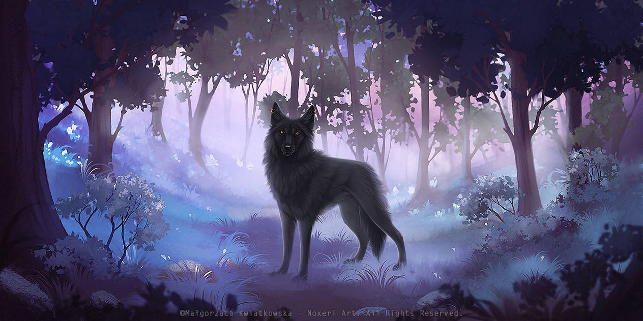 Forest - commission by Noxeri on DeviantArt