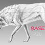 BASE - Canine