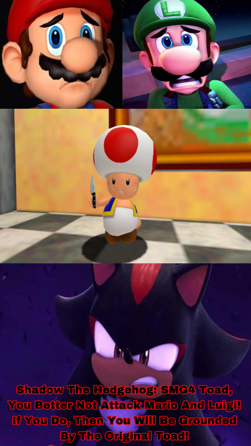 Shadow Toad Shadow Protects Mario And Luigi From SMG4 Toad by KyRruaa on DeviantArt