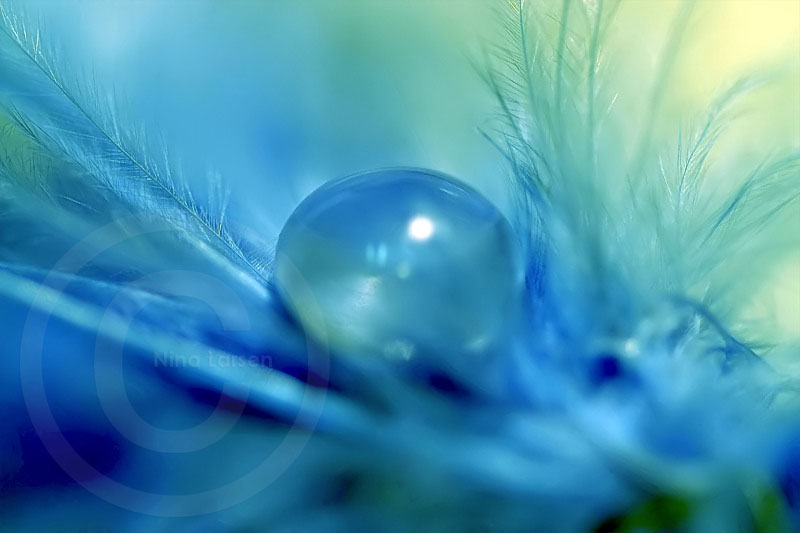 Blue.