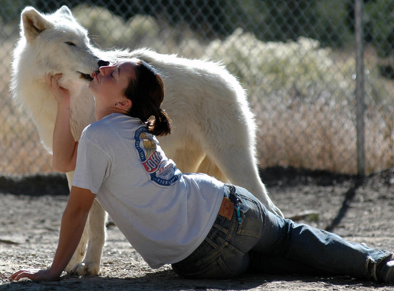 Пес любовный аромат. Люди и животные. Любовь человека и животного. Любовь между животными и людьми. Милые моменты с животными.