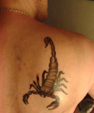 Scorpion