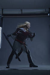 Fighting pose Eowyn - Stock