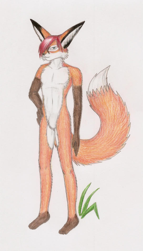 .Fox Anthro Male. by blueskyiies on DeviantArt