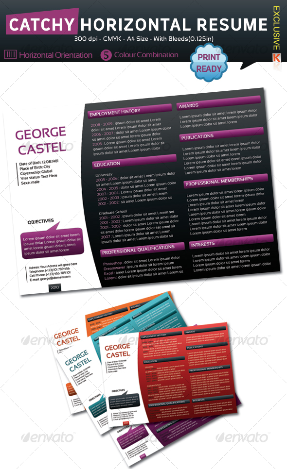 Catchy Horizontal Resume by kh2838